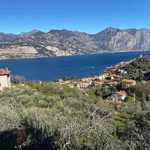 Olive Grove House Apartment